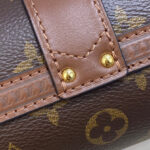 Louis Vuitton Papillon Trunk M57835 Brown